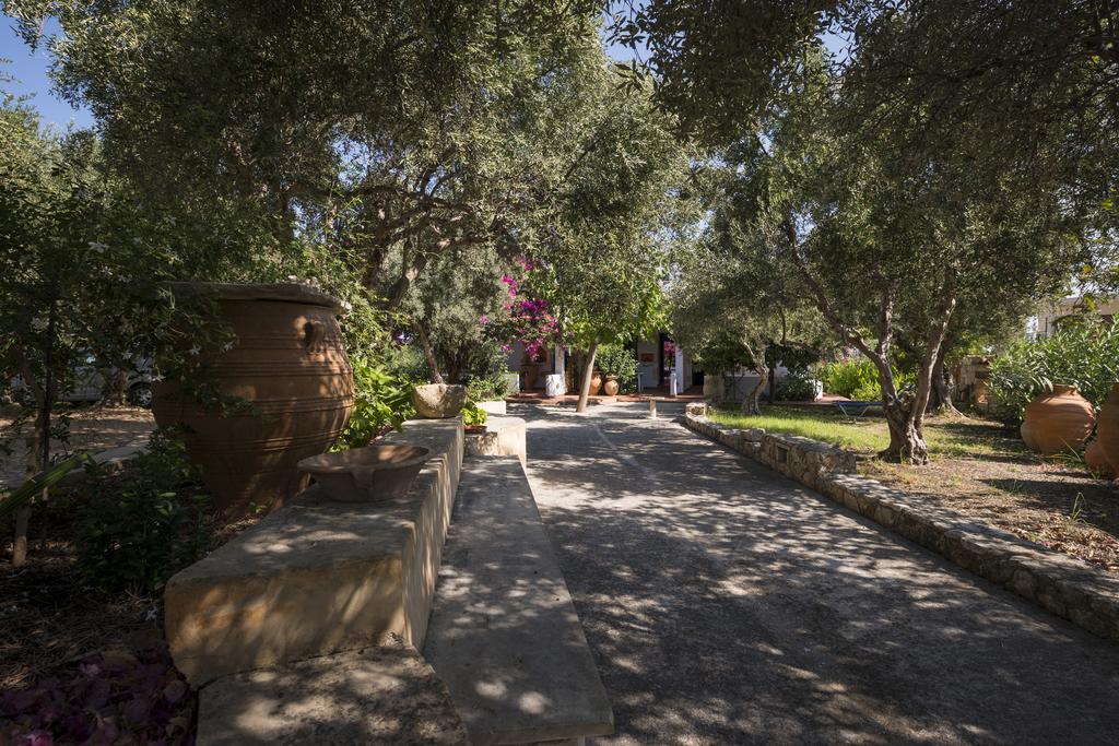 Orionas Village Kato Daratso