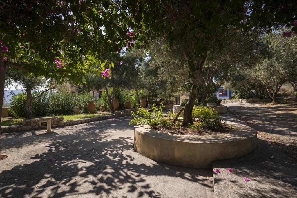 Orionas Village Kato Daratso