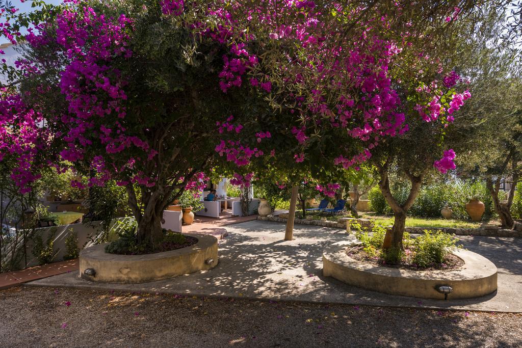 Apartment Orionas Village Kato Daratso