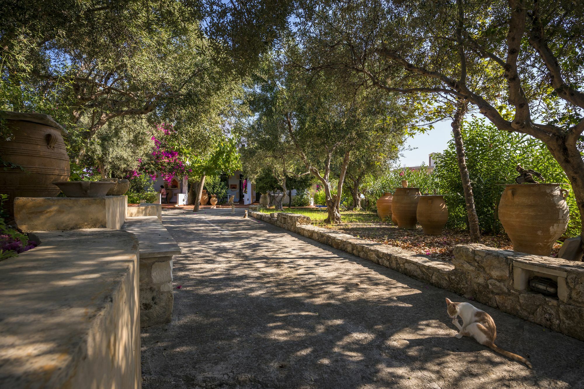 Orionas Village Apartment *