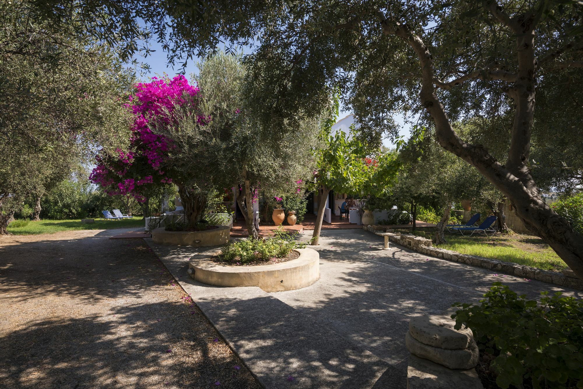 Apartment Orionas Village Kato Daratso